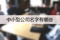 中小型公司名字有哪些