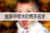 楚辞中带沐的男孩名字