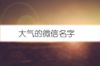 大气的微信名字