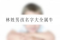 林姓男孩名字大全属牛