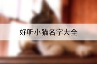 好听小猫名字大全