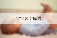 宝宝名字库男