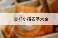 吉祥小猫名字大全