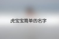 虎宝宝简单的名字