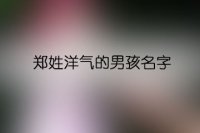 郑姓洋气的男孩名字