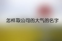 怎样取公司的大气的名字